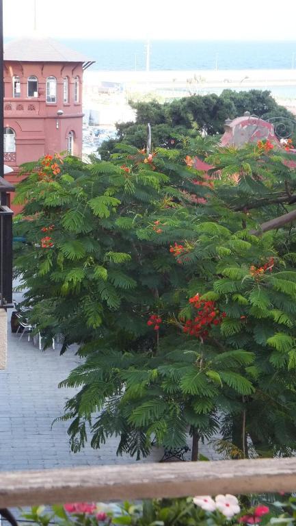 Casa Colonial Cejas Hotel ซานตาครูซ เด เตเนริเฟ ห้อง รูปภาพ