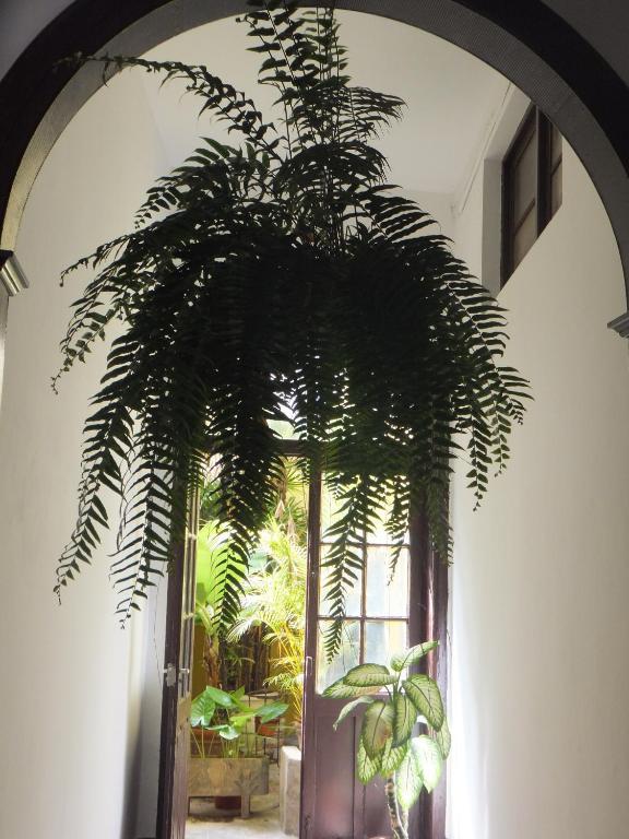 Casa Colonial Cejas Hotel ซานตาครูซ เด เตเนริเฟ ภายนอก รูปภาพ