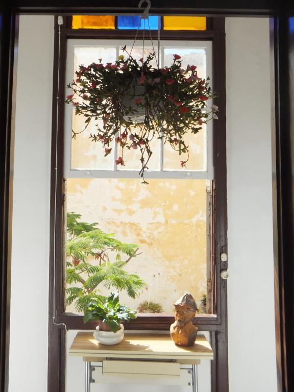 Casa Colonial Cejas Hotel ซานตาครูซ เด เตเนริเฟ ภายนอก รูปภาพ