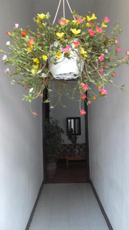 Casa Colonial Cejas Hotel ซานตาครูซ เด เตเนริเฟ ภายนอก รูปภาพ