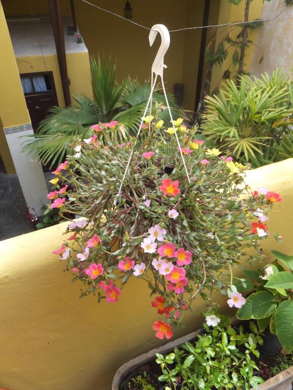 Casa Colonial Cejas Hotel ซานตาครูซ เด เตเนริเฟ ภายนอก รูปภาพ