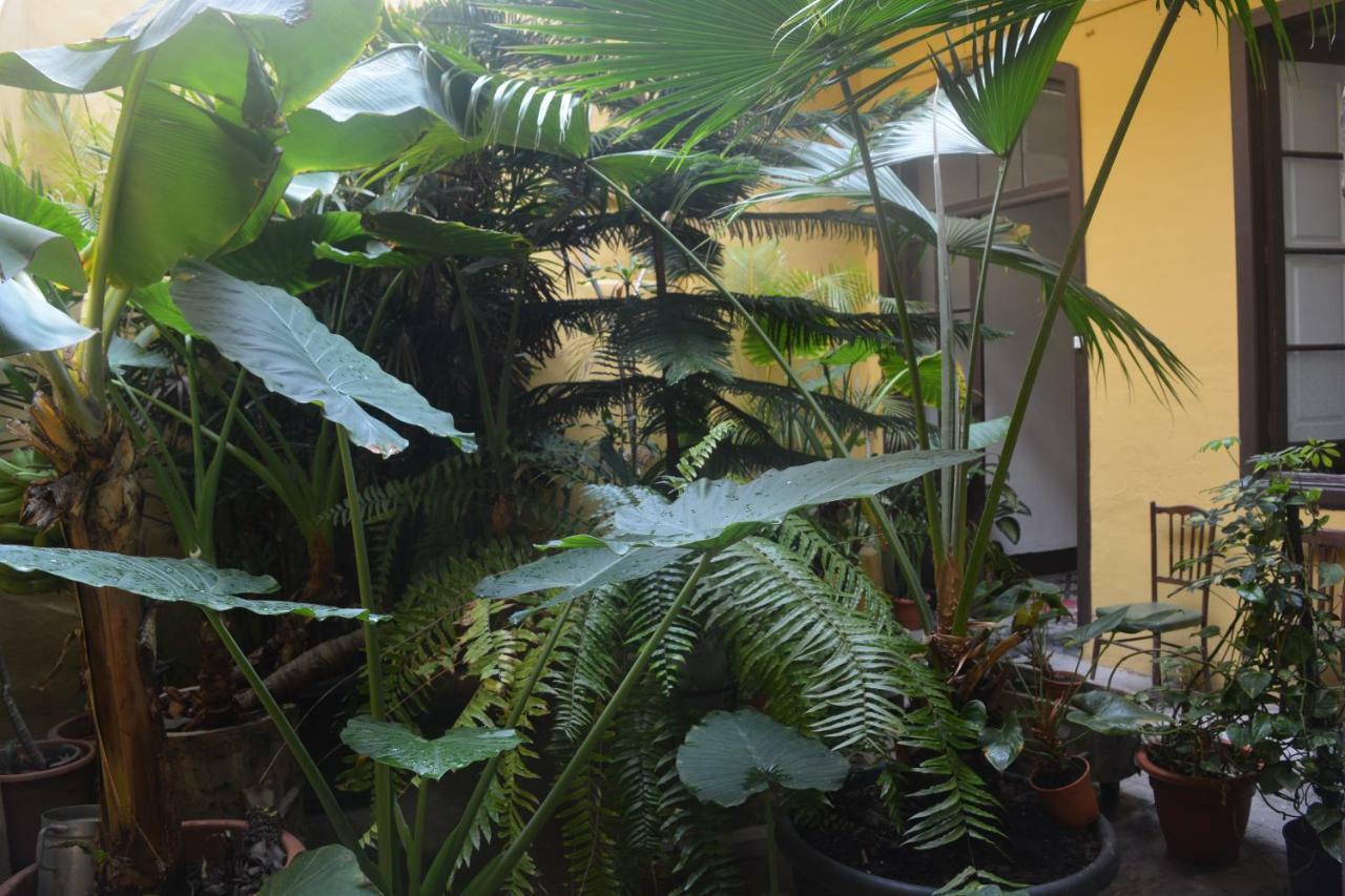 Casa Colonial Cejas Hotel ซานตาครูซ เด เตเนริเฟ ภายนอก รูปภาพ