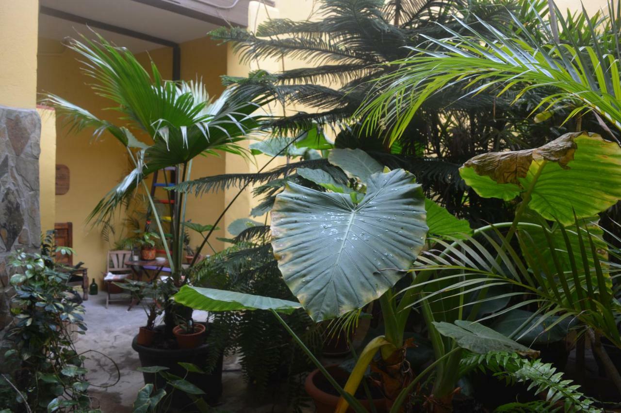 Casa Colonial Cejas Hotel ซานตาครูซ เด เตเนริเฟ ภายนอก รูปภาพ